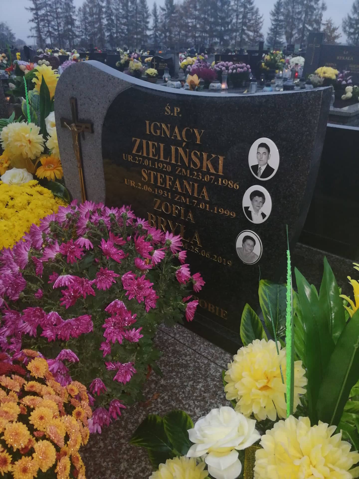 Zofia Bryła 1955 Przeciszów - Grobonet - Wyszukiwarka osób pochowanych